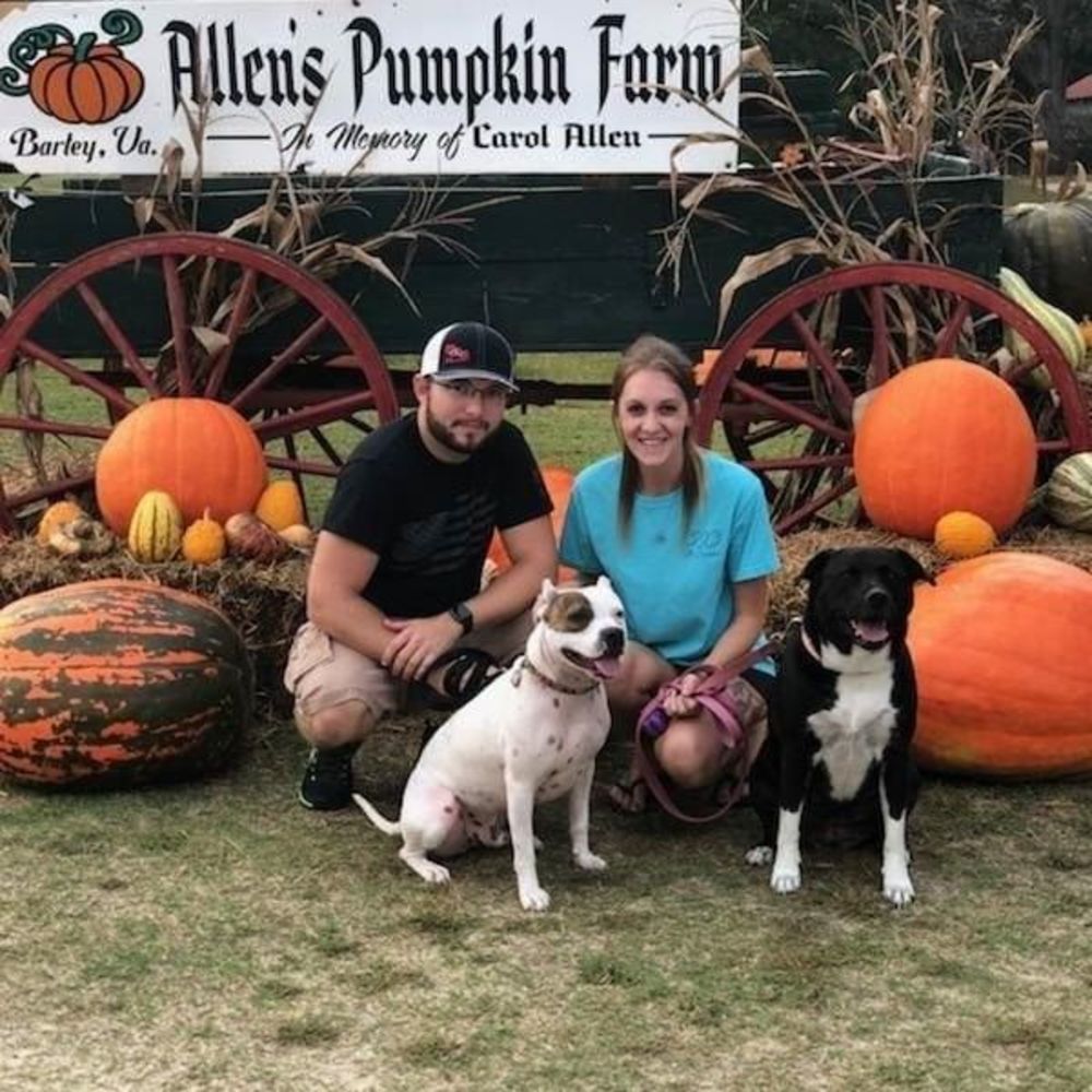 Meet your Posher, Destiny